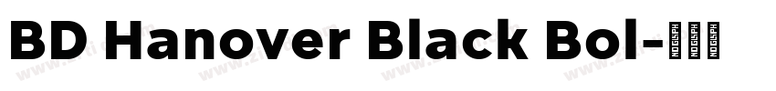 BD Hanover Black Bol字体转换